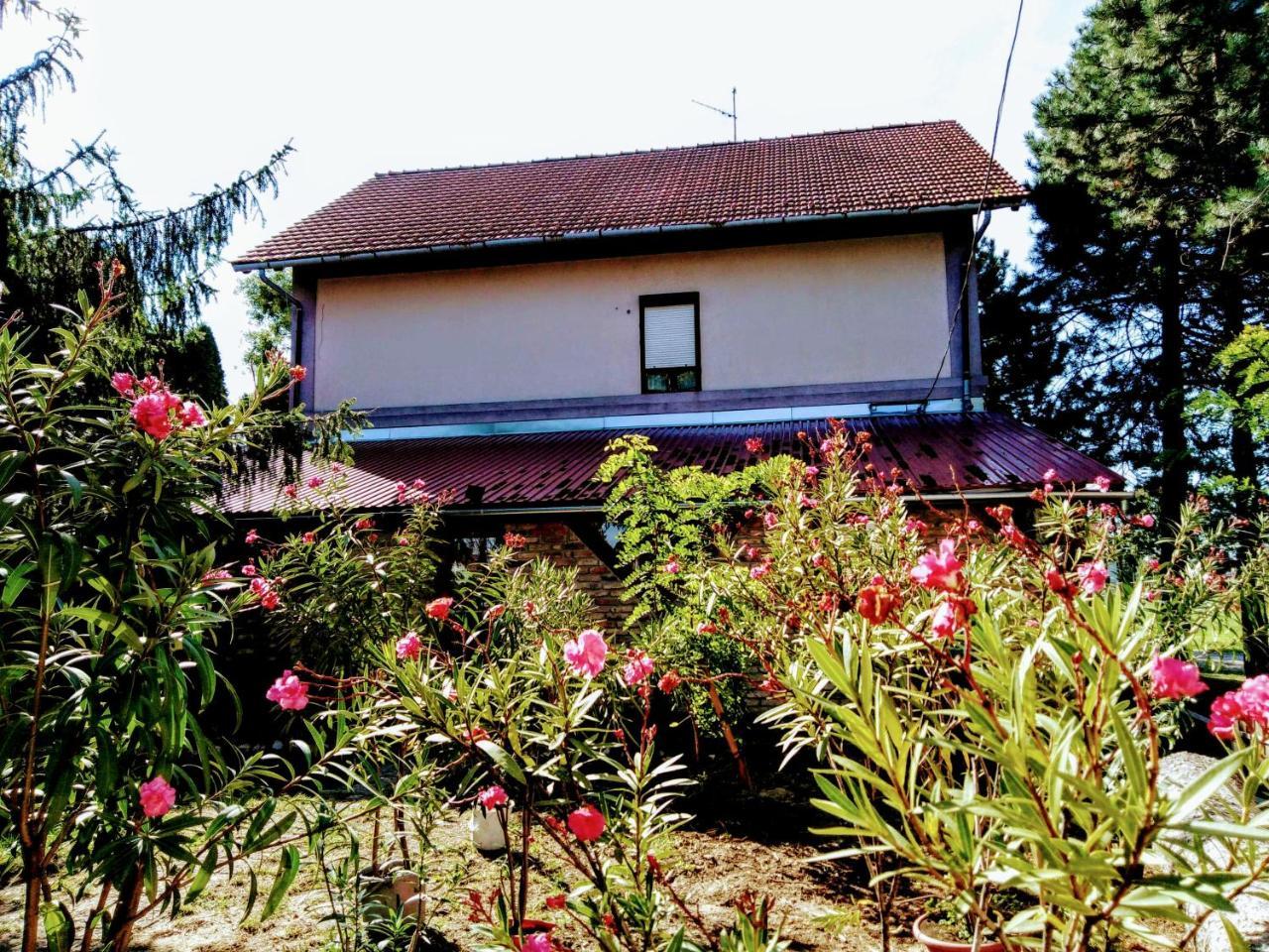Locomotiv Vendeghaz Hercegszanto Exterior foto